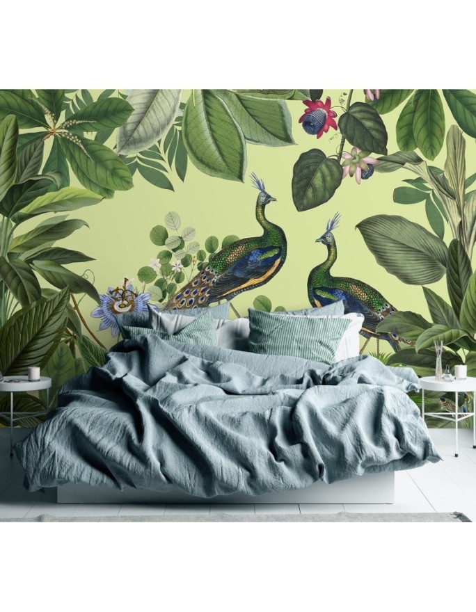 Original Wallpapers - Peacocks in a tropical park Andrea Haase | FEEBY