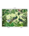 Original Wallpapers - Peacocks in a tropical park Andrea Haase | FEEBY