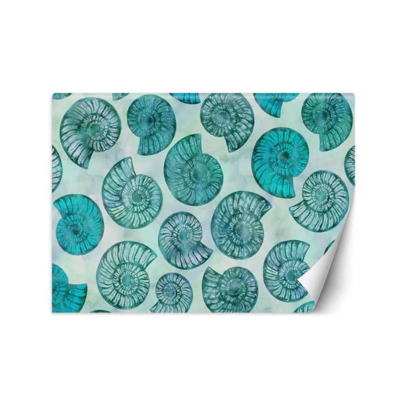 Designer wall mural - Blue seashells Andrea Haase | FEEBY