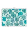 Designer wall mural - Blue seashells Andrea Haase | FEEBY