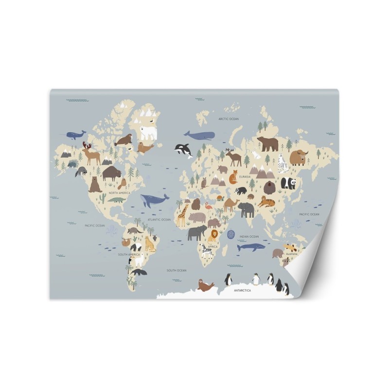 Children's room wall mural - Pastel coloured map of the continents | FEEBY