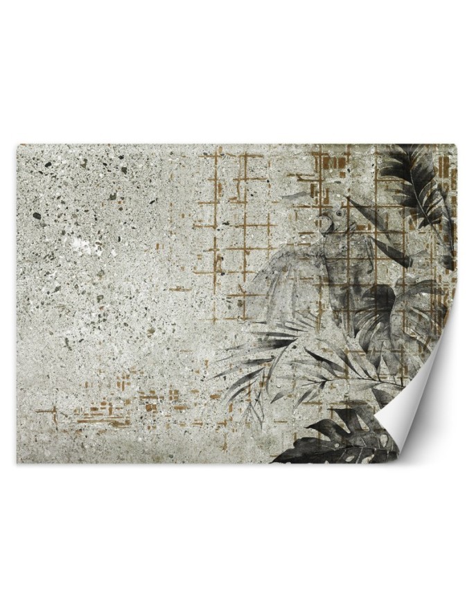 Exclusive wall murals - Monstera Leaves concrete wall | FEEBY