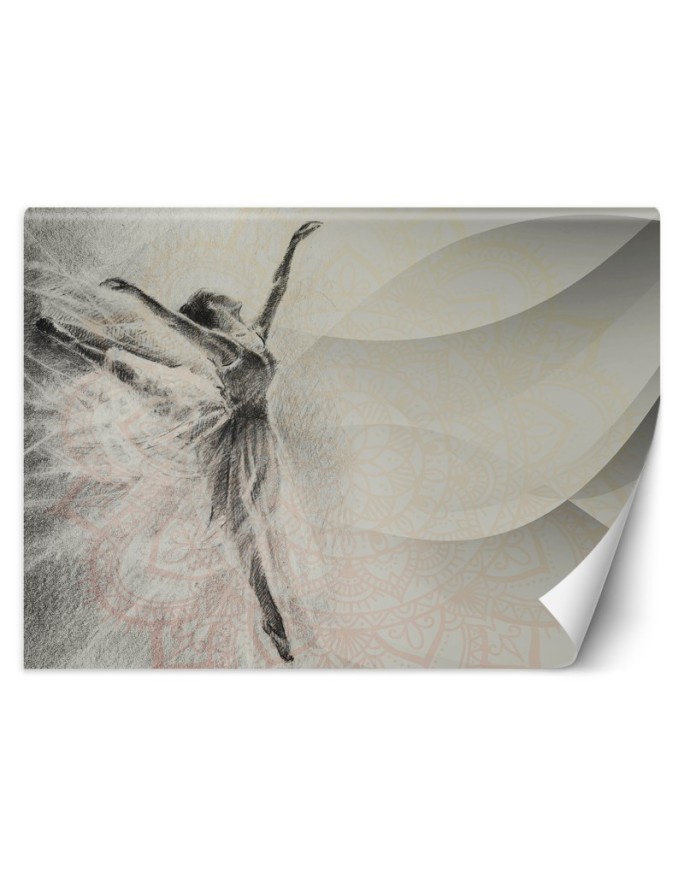 Inspirational wall mural - Ballerina mandala background | FEEBY