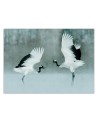 Beautiful wall murals - Cranes birds | FEEBY