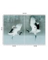 Beautiful wall murals - Cranes birds | FEEBY