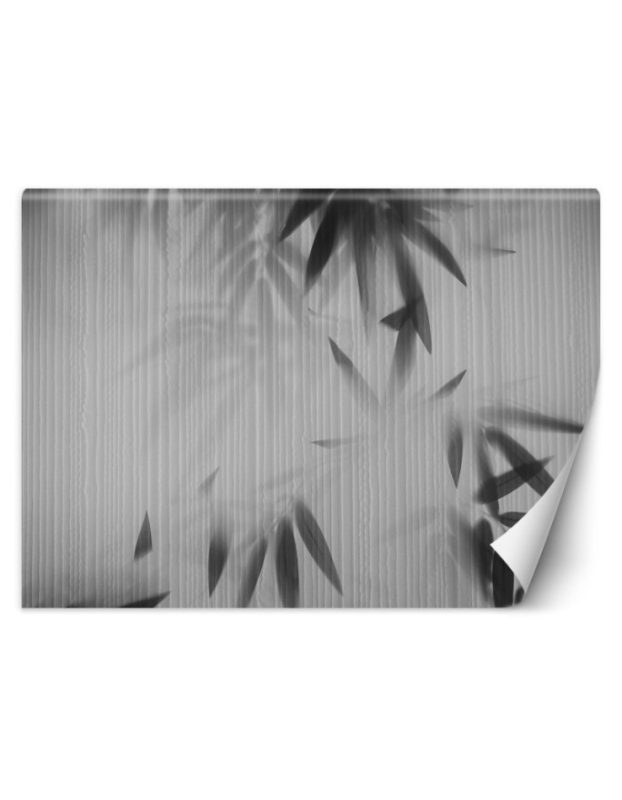 Exotic wall mural - Leaves in the mist abstract | FEEBY