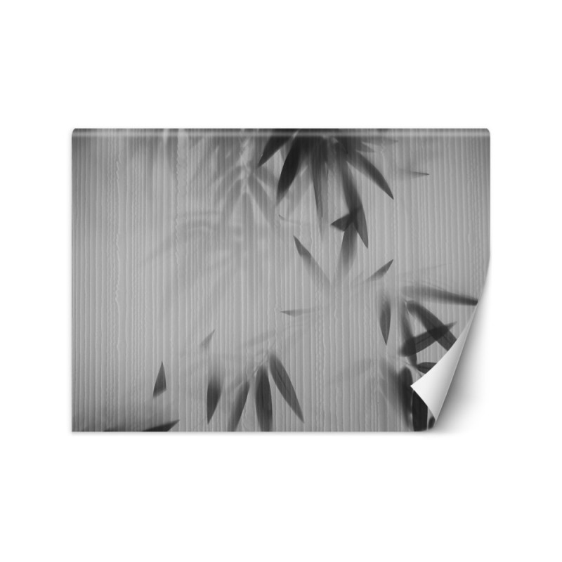 Exotic wall mural - Leaves in the mist abstract | FEEBY