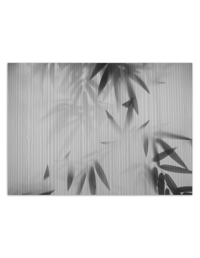 Exotic wall mural - Leaves in the mist abstract | FEEBY