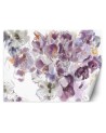Beautiful Wallpaper - Iris flower | FEEBY