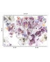Beautiful Wallpaper - Iris flower | FEEBY