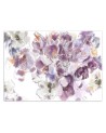 Beautiful Wallpaper - Iris flower | FEEBY