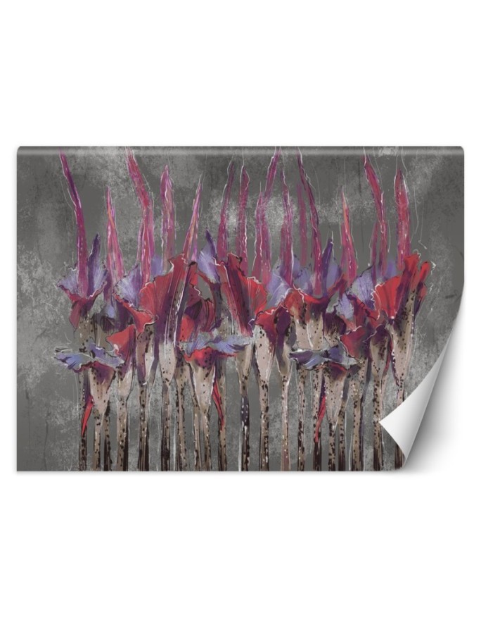 Inspirational Wallpapers - Plants flowers red | FEEBY