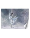 Inspirational Wallpapers - Ballerina pirouette | FEEBY