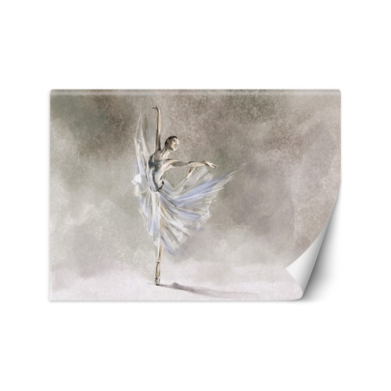Fleece Wallpapers for the living room - ballerina dance | FEEBY