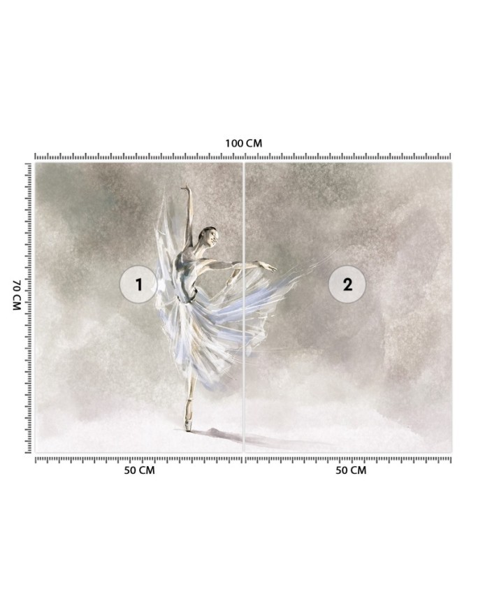 Fleece Wallpapers for the living room - ballerina dance | FEEBY