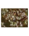Modern wall murals - Iris flower | FEEBY