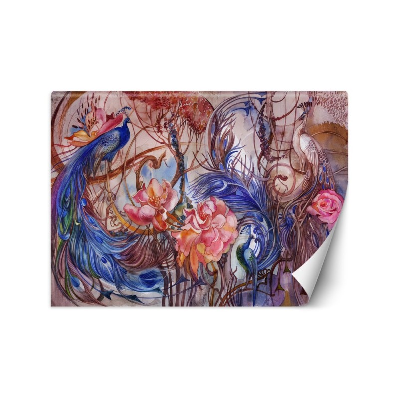 Original wall murals - Peacock birds | FEEBY