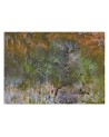 Wall mural - Trees watercolour | FEEBY