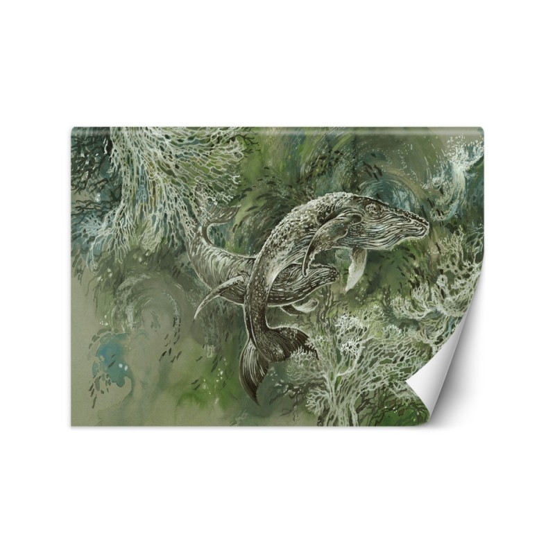 Original Wallpapers - Pair of humpback whales | FEEBY