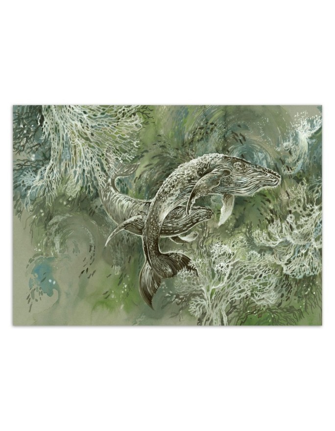 Original Wallpapers - Pair of humpback whales | FEEBY