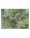 Original Wallpapers - Pair of humpback whales | FEEBY