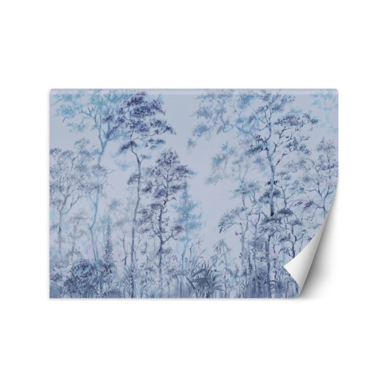Exclusive Wallpapers - Tall trees nature | FEEBY