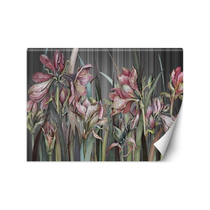 Unique Wallpapers - Irises flowers | FEEBY