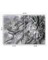 Exclusive Wallpapers - Flowers abstract | FEEBY