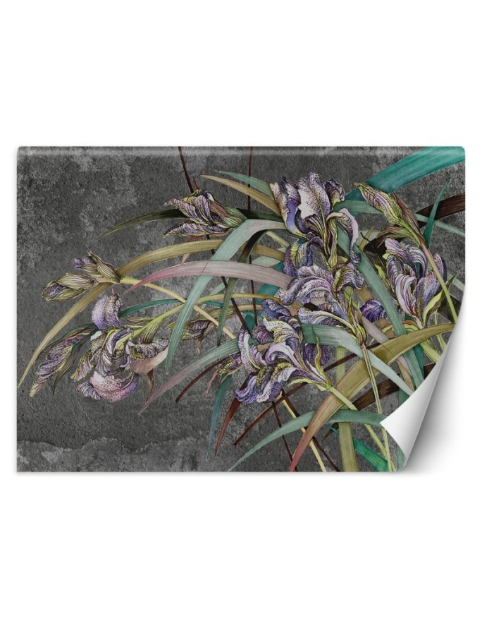Original Wallpapers - Irises flowers in the wind | FEEBY