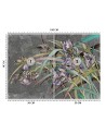 Original Wallpapers - Irises flowers in the wind | FEEBY