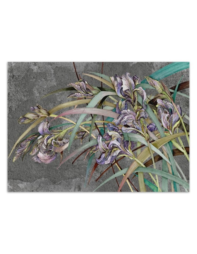 Original Wallpapers - Irises flowers in the wind | FEEBY