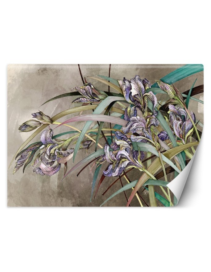 Original Wallpapers - Irises flowers in the wind | FEEBY