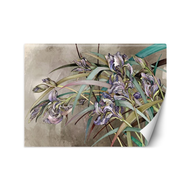 Original Wallpapers - Irises flowers in the wind | FEEBY
