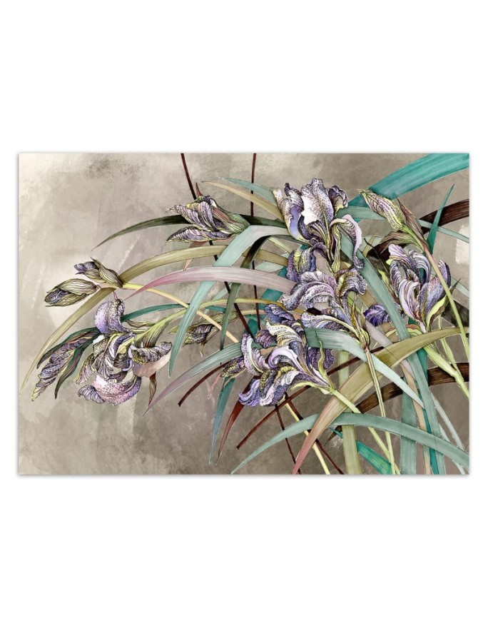 Original Wallpapers - Irises flowers in the wind | FEEBY