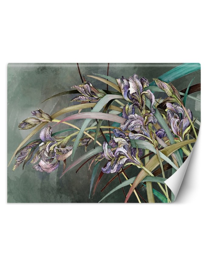 Wall mural Iris Flowers in...