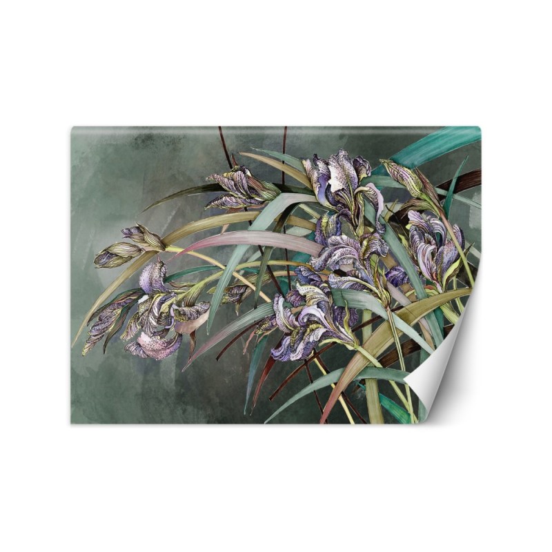 Original Wallpapers - Irises flowers in the wind | FEEBY
