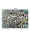 Original Wallpapers - Irises flowers in the wind | FEEBY
