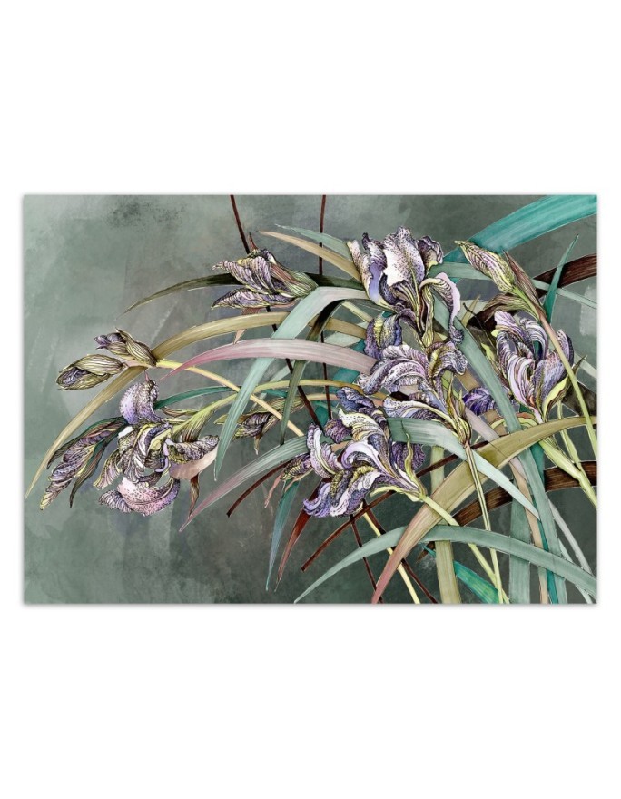 Original Wallpapers - Irises flowers in the wind | FEEBY