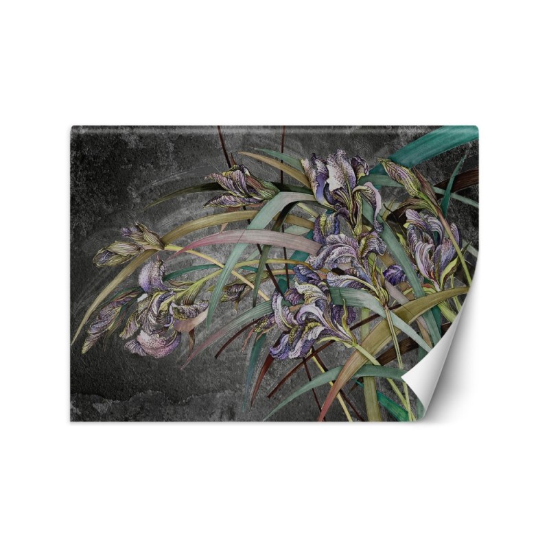 Original Wallpapers - Irises flowers in the wind | FEEBY