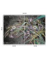 Original Wallpapers - Irises flowers in the wind | FEEBY
