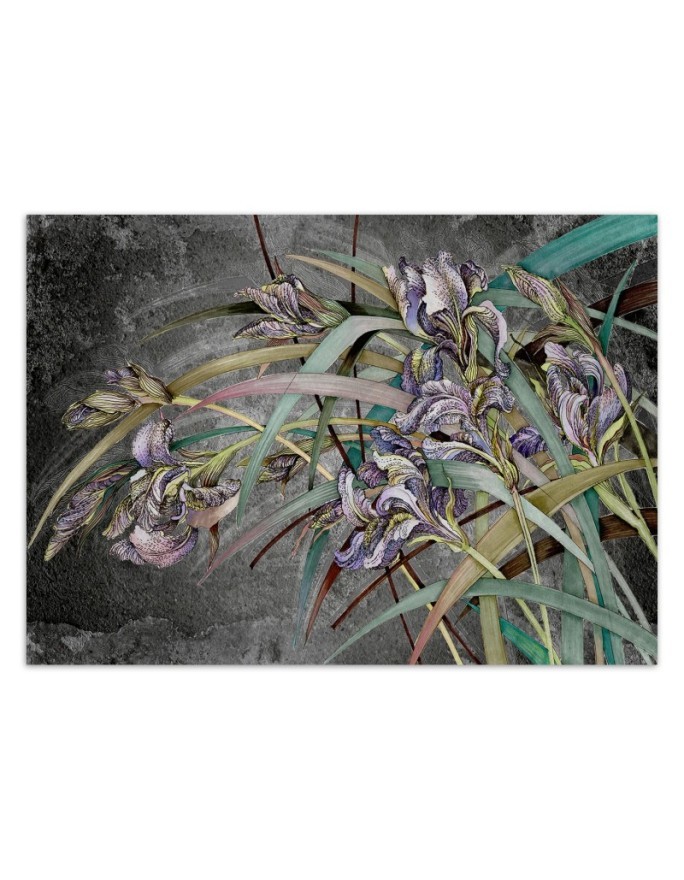 Original Wallpapers - Irises flowers in the wind | FEEBY