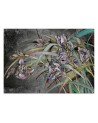 Original Wallpapers - Irises flowers in the wind | FEEBY