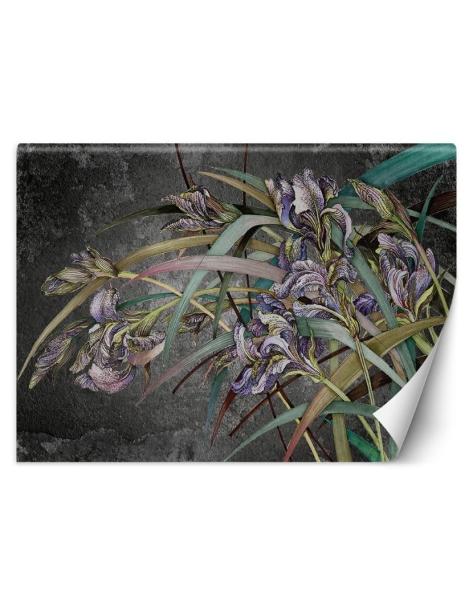 Original Wallpapers - Irises flowers in the wind | FEEBY