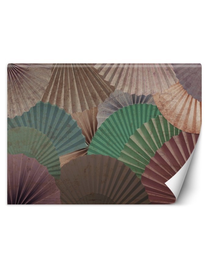 Stylish Wallpapers - Colourful fans | FEEBY