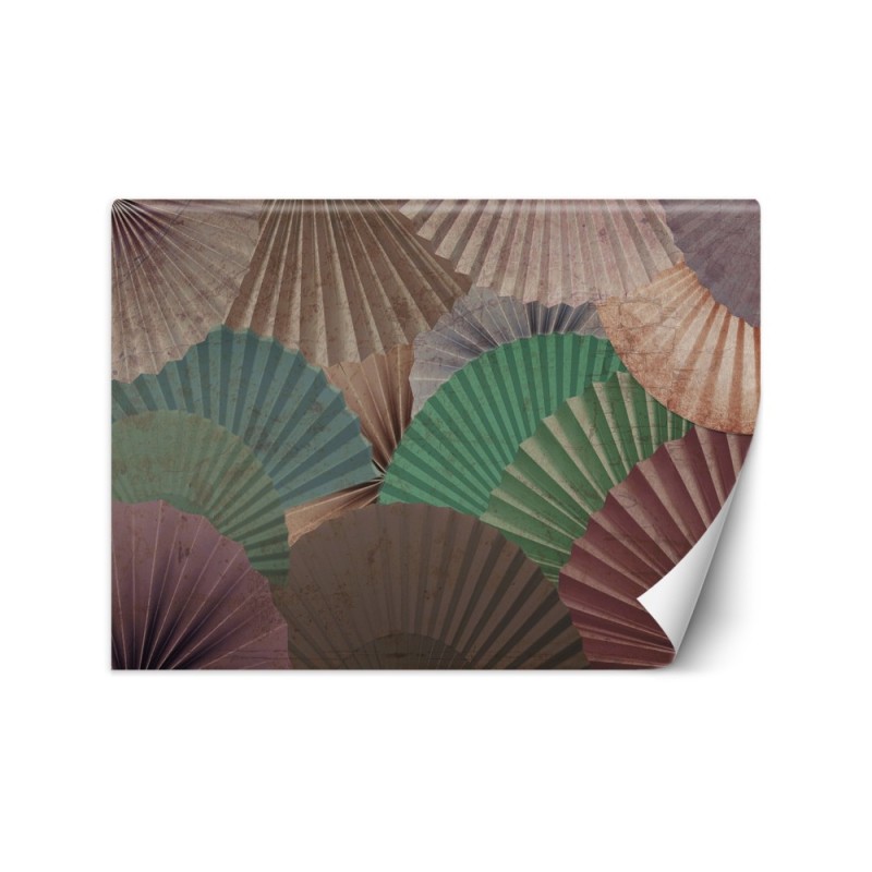 Stylish Wallpapers - Colourful fans | FEEBY
