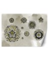 Original wall murals - Shapes geometric flowers | FEEBY