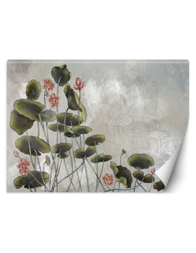 Exclusive wall murals - Water lily | FEEBY