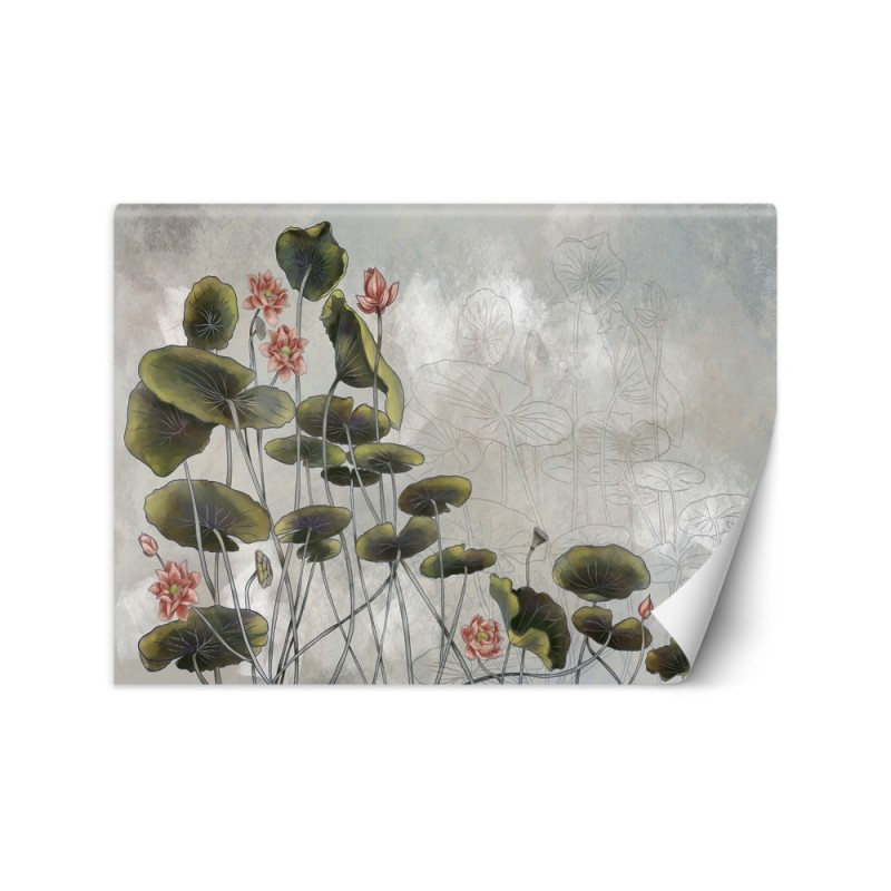 Exclusive wall murals - Water lily | FEEBY