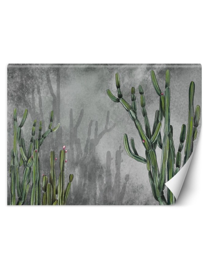 Original wall murals - Cactus plants desert | FEEBY