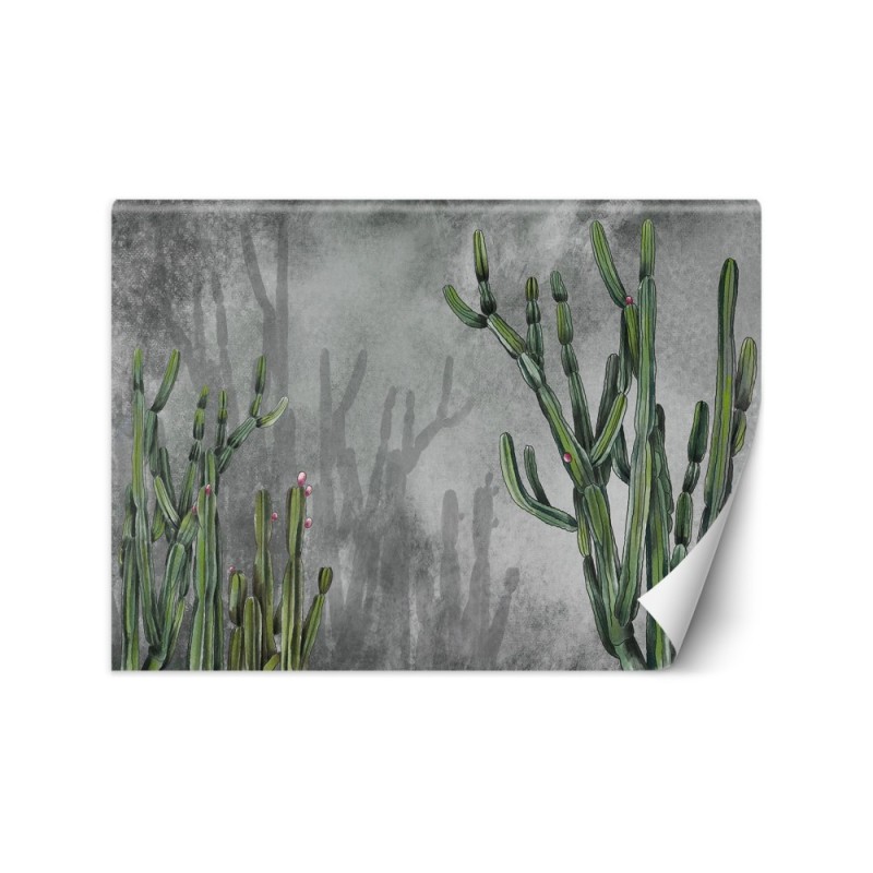 Original wall murals - Cactus plants desert | FEEBY
